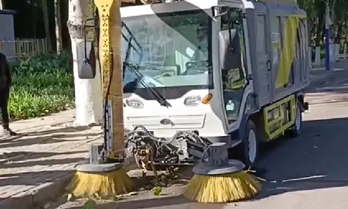 電動(dòng)樹葉收集車城市道路樹葉收集現(xiàn)場