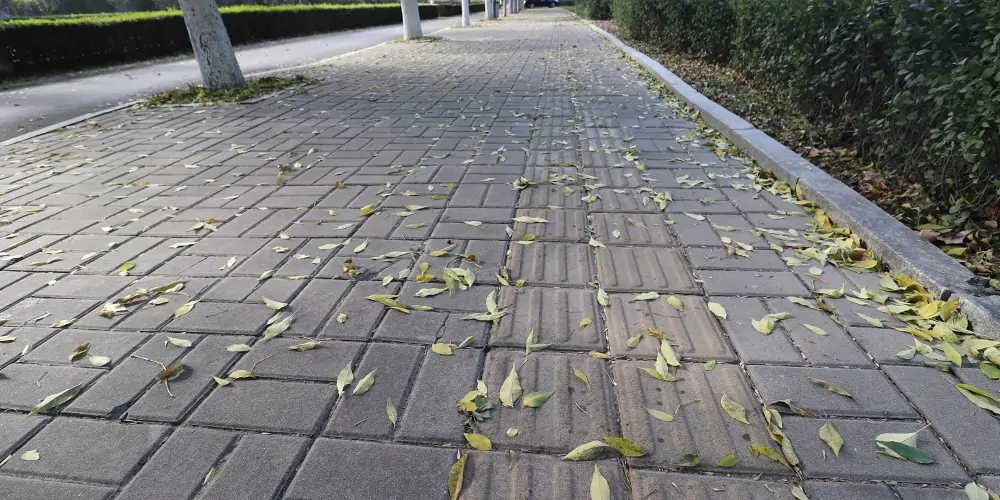 吸樹(shù)葉的機(jī)器